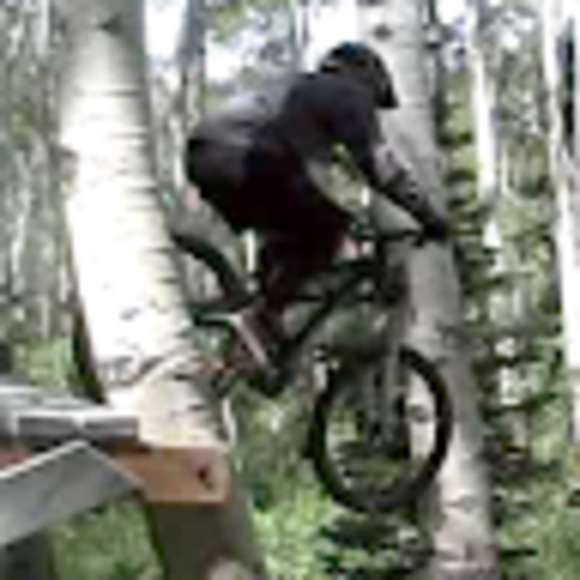 Meet your Posher, Sam - Picture 1 of 1